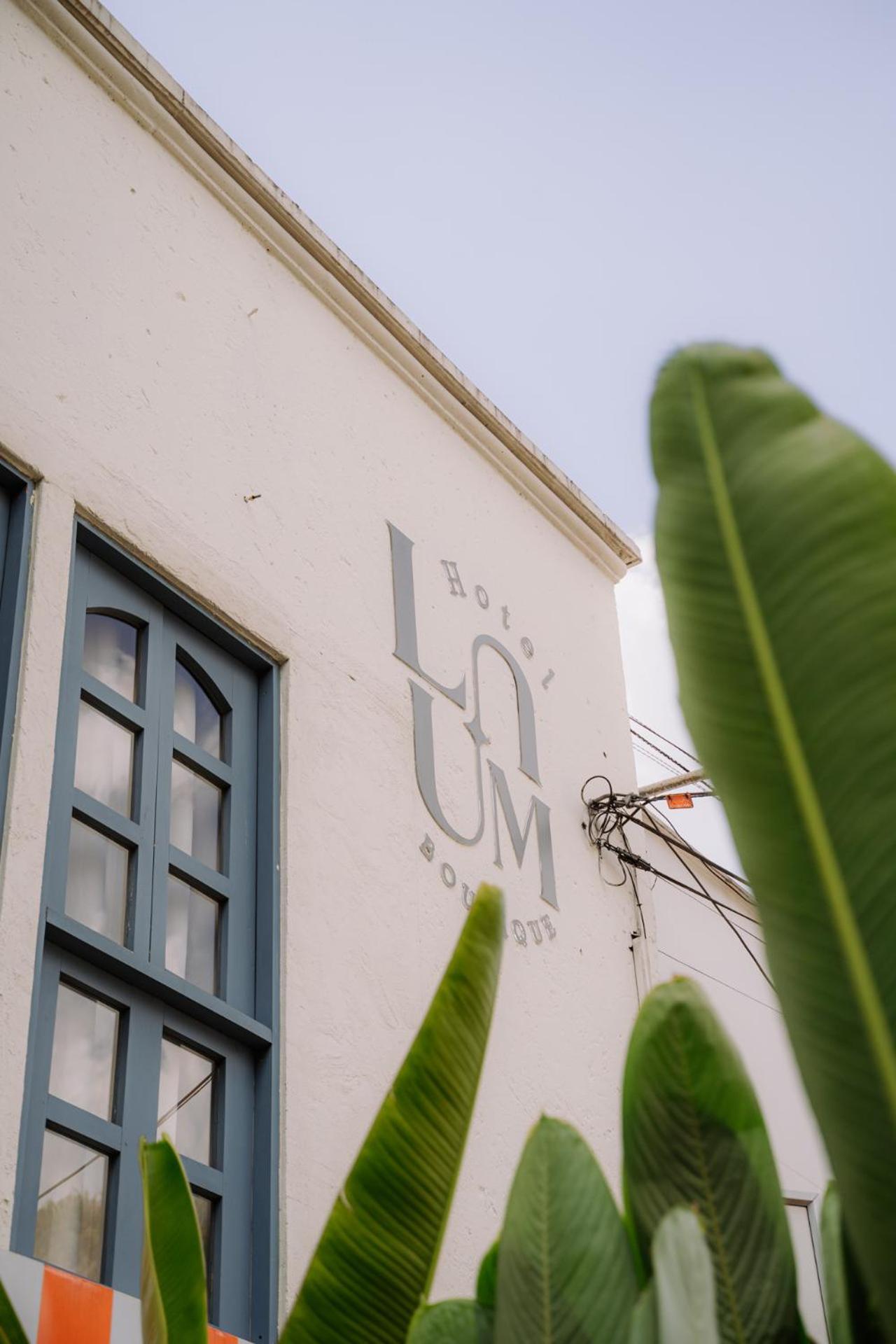 Poblado Luum Boutique Hotel 麦德林 外观 照片
